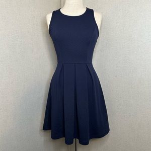 ezra Blue Sleeveless Dress NWOT